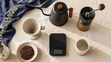A gooseneck kettle, scale, grinder, dripper, mug, and coffee beans form a home brewing flat lay.