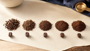 Five coffee grind samples progress from coarse to fine beside whole beans for scale.