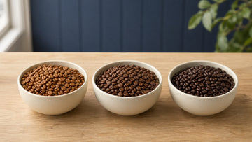 Three bowls compare light, medium, and dark roasted coffee beans from left to right.
