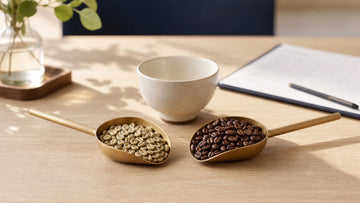 Green coffee beans and roasted coffee beans rest in separate scoops beside a cupping bowl.